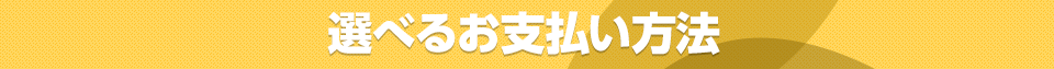 選べるお支払方法